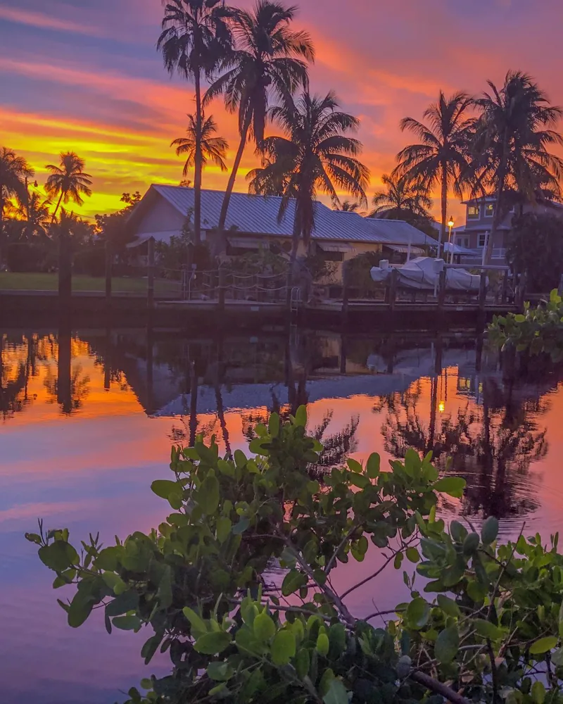 Palm trees reflecting on a Fort Myers canal at sunset, Lee County