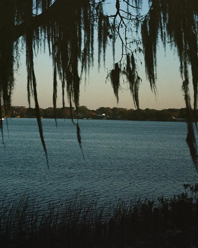 Winter Park lake with Spanish moss-draped trees at dusk, Central Florida